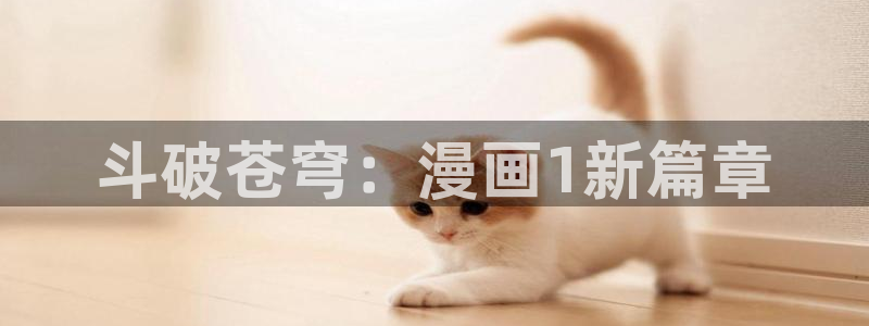 女神漫画免费漫画在线阅读全文