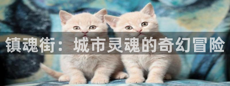 女神漫画网页入口